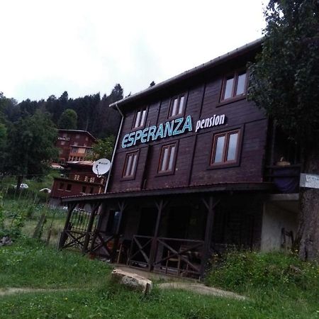 Maison d'hôtes Esperanza Apart & Pension à Ayder Yaylasi Extérieur photo
