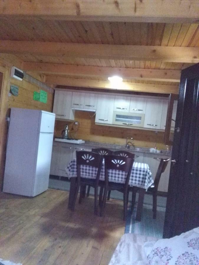 Maison d'hôtes Esperanza Apart & Pension à Ayder Yaylasi Extérieur photo